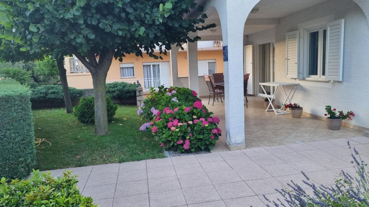נובי ווינודולסקי Apartment Nina מראה חיצוני תמונה
