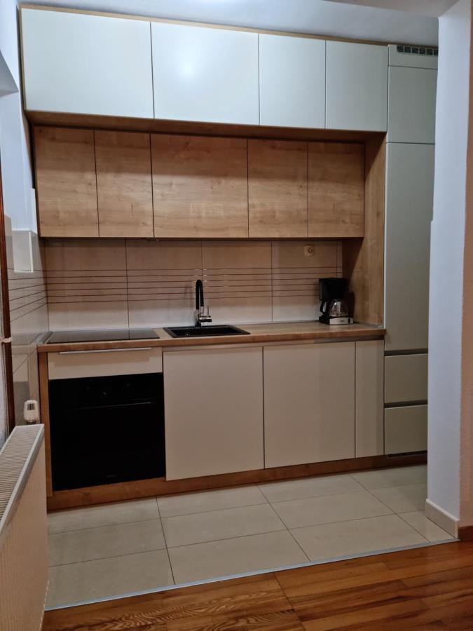 נובי ווינודולסקי Apartment Nina מראה חיצוני תמונה