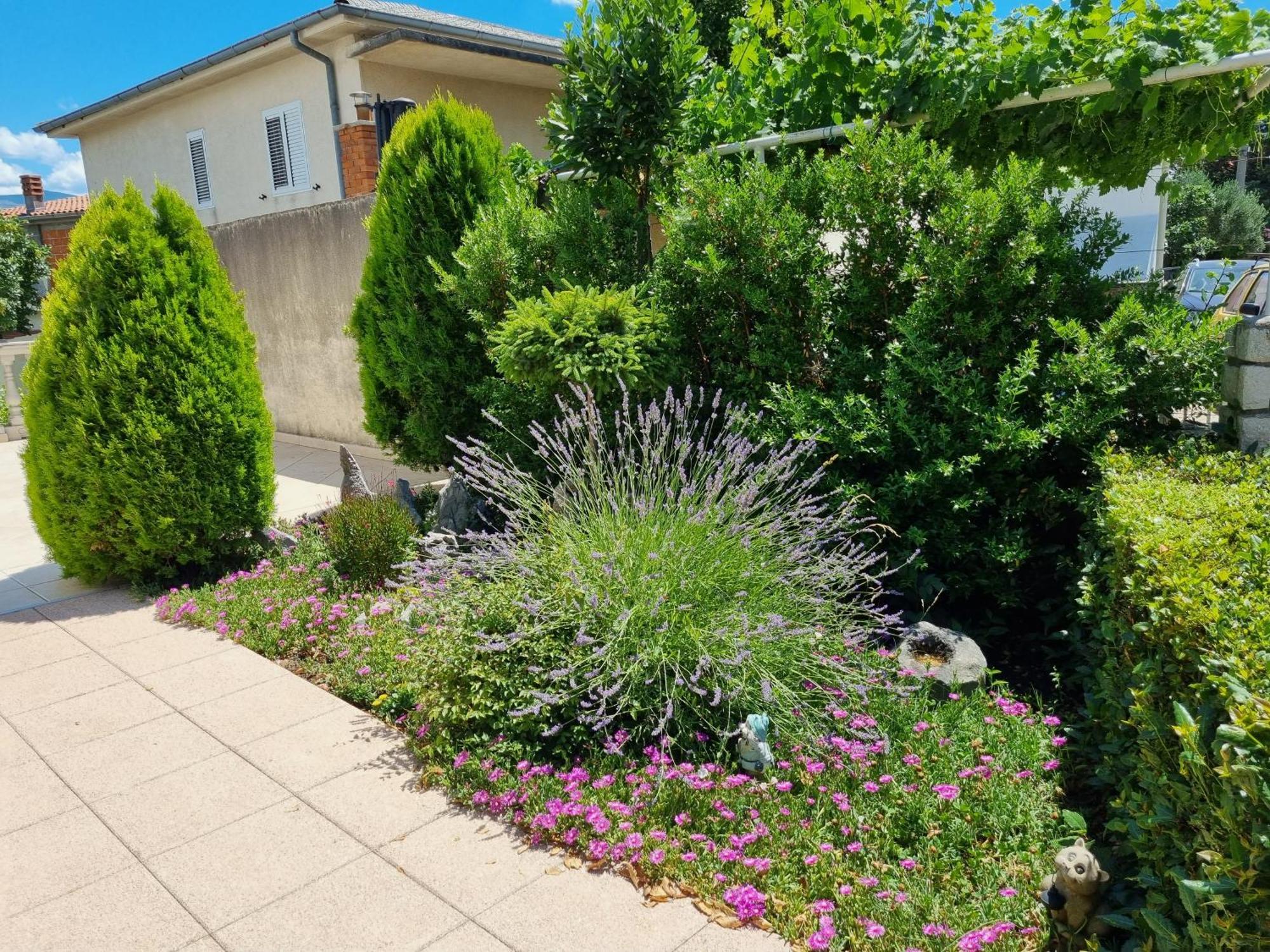 נובי ווינודולסקי Apartment Nina מראה חיצוני תמונה